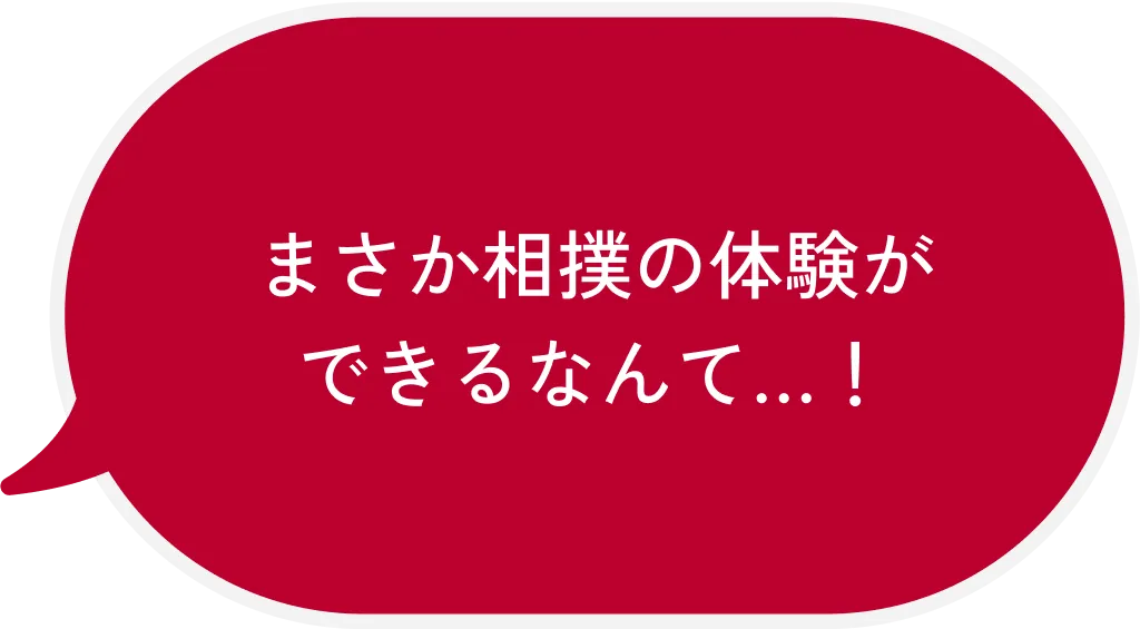 ホテルの近くで美味しい日本食を食べられた！